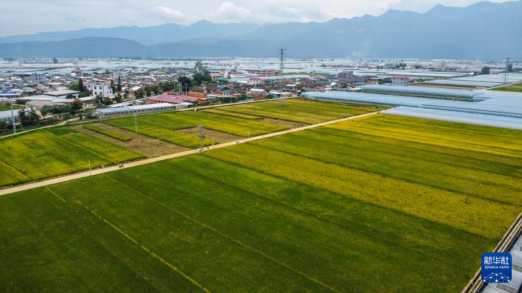 米兰体育官方网站- 多特蒙德扩建训练基地，科技助力打造顶级青训营  